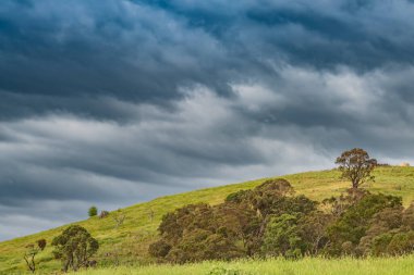 Öğleden sonra geç saatlerde Avustralya, NSW 'nin orta batısındaki Blayney kırsalında fırtına bulutları süzülüyor..