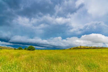 Avustralya, NSW 'nin orta batısındaki Blayney' de kırsal alanda şiddetli fırtınalar bekleniyor..