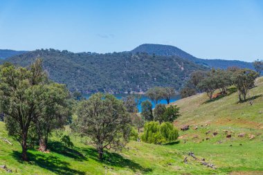 Yaz mevsimi Windamere Barajı ya da Cudgegong 'daki Windameere Gölü.