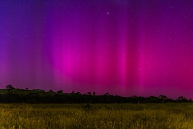 Güney Işıkları - Aurora Australis ve şafak öncesi gece gökyüzü Blayney, Orta Batı, NSW, Avustralya 'da pembe çizgilerle doluydu..