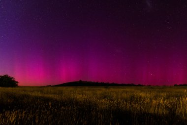 Güney Işıkları - Aurora Australis ve şafak öncesi gece gökyüzü Blayney, Orta Batı, NSW, Avustralya 'da pembe çizgilerle doluydu..