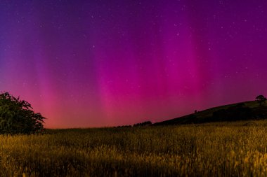 Güney Işıkları - Aurora Australis ve şafak öncesi gece gökyüzü Blayney, Orta Batı, NSW, Avustralya 'da pembe çizgilerle doluydu..
