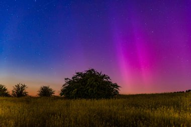 Güney Işıkları - Aurora Australis ve şafak öncesi gece gökyüzü Blayney, Orta Batı, NSW, Avustralya 'da pembe çizgilerle doluydu..
