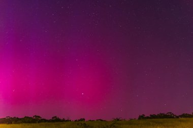 Güney Işıkları - Aurora Australis ve şafak öncesi gece gökyüzü Blayney, Orta Batı, NSW, Avustralya 'da pembe çizgilerle doluydu..