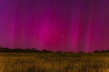 Güney Işıkları - Aurora Australis ve şafak öncesi gece gökyüzü Blayney, Orta Batı, NSW, Avustralya 'da pembe çizgilerle doluydu..