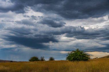 NSW, Avustralya 'nın orta batısında Blayney üzerinde öğleden sonra fırtına bulutları.