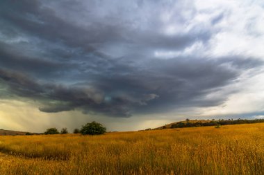 Avustralya, NSW 'nin orta batısındaki Blayney' de kırsal kesimde şiddetli fırtınalar kopuyor..