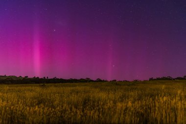 The Southern Lights - Aurora Australis and the predawn night sky filled with pink streaks in Blayney, Central West, NSW, Australia. clipart