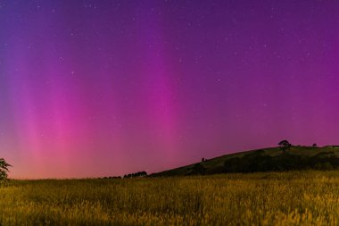 Güney Işıkları - Aurora Australis ve şafak öncesi gece gökyüzü Blayney, Orta Batı, NSW, Avustralya 'da pembe çizgilerle doluydu..