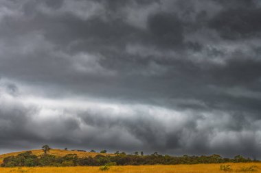 Grey and grumbling skies with storms passing over the countryside at Blayney in the Central West of NSW, Australia. clipart