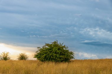 Avustralya, NSW 'nin orta batısındaki Blayney' de kırsal bölgelerden geçen şiddetli fırtınalar..