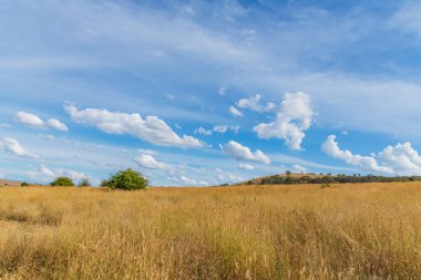 Öğleden sonra, güzel mavi gökyüzü ve Avustralya, NSW 'nin orta batısındaki Blayney' nin dış mahallelerinde bulutlarla kaplı..