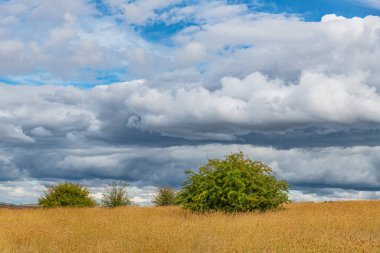 Fırtına bulutları ve Avustralya, NSW 'nin orta batısındaki Blayney kırsalında mavi bir gökyüzü..
