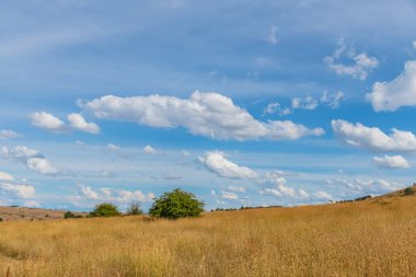 Öğleden sonra, güzel mavi gökyüzü ve Avustralya, NSW 'nin orta batısındaki Blayney' nin dış mahallelerinde bulutlarla kaplı..