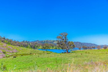 Windamere Dam and countryside in the Summertime, Mudgee, Central West, NSW, Australia. clipart