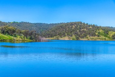 Windamere Barajı ve kırsal alanda yaz mevsiminde, Mudgee, Orta Batı, NSW, Avustralya.