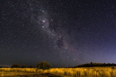 Samanyolu 'nun gece gökyüzü Blayney, Orta Batı, NSW, Avustralya' da yıldızlarla doluydu..