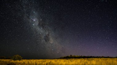 Samanyolu 'nun gece gökyüzü Blayney, Orta Batı, NSW, Avustralya' da yıldızlarla doluydu..