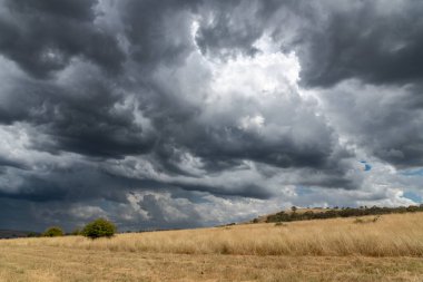Avustralya, NSW 'nin orta batısındaki Blayney' de kırsal bölgelerden geçen şiddetli fırtınalar..