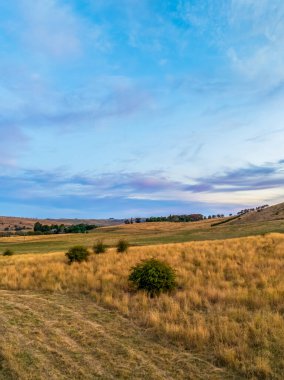 Avustralya, NSW 'nin orta batısındaki Blayney kenar mahallelerinde günbatımı ve yüksek bulutlar..