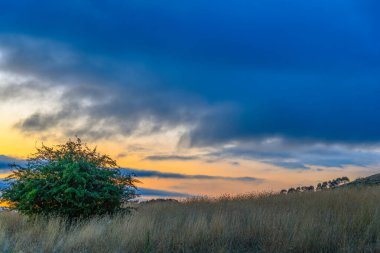 Avustralya, NSW 'nin orta batısındaki Blayney kenar mahallelerinde günbatımı ve bulutlar..