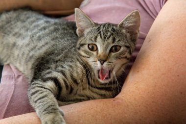 Minnie, sahibine sarılıyor..