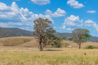 Güney Tabloları ve Avustralya 'nın NSW kentindeki Yukarı Lachlan Shire' da bir yol gezisinde kırsal alan..