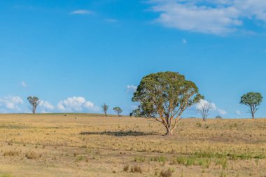 Güney Tabloları ve Avustralya 'nın NSW kentindeki Yukarı Lachlan Shire' da bir yol gezisinde kırsal alan..