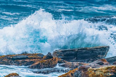 Sydney, NSW, Avustralya 'nın kuzey sahillerindeki Avalon' da kayalar ve dalgalarla kaplı Sunrise Seascape bulutları.
