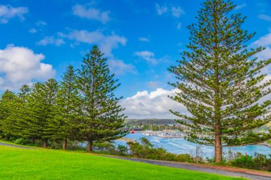Bermagui, NSW, Avustralya 'da Breakwall ve Marina' nın yanındaki Sunrise Point 'ten deniz manzaralı.