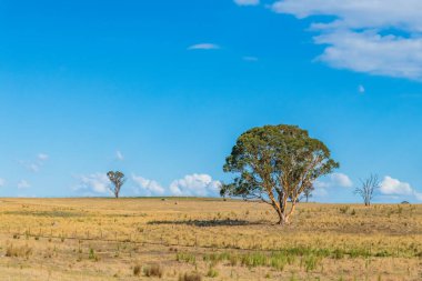 Güney Tabloları ve Avustralya 'nın NSW kentindeki Yukarı Lachlan Shire' da bir yol gezisinde kırsal alan..