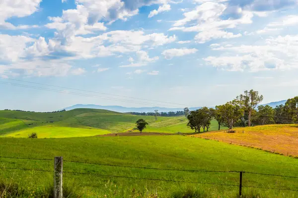 NSW, Avustralya 'nın güney kıyısındaki Sapphire Sahili olarak da bilinen Bega Vadisi çevresindeki kırsal bölge..