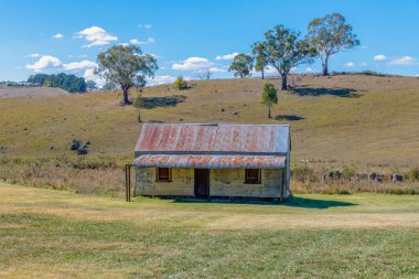 Frederick 'in Valley Creek Rehabilitasyon Projesi söğüt ağaçlarının kaldırılmasını ve Lucknow, NSW, Avustralya' daki yerel bitki ve ağaçlarla yeniden ekilmesini içeriyordu..