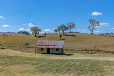 Frederick 'in Valley Creek Rehabilitasyon Projesi söğüt ağaçlarının kaldırılmasını ve Lucknow, NSW, Avustralya' daki yerel bitki ve ağaçlarla yeniden ekilmesini içeriyordu..