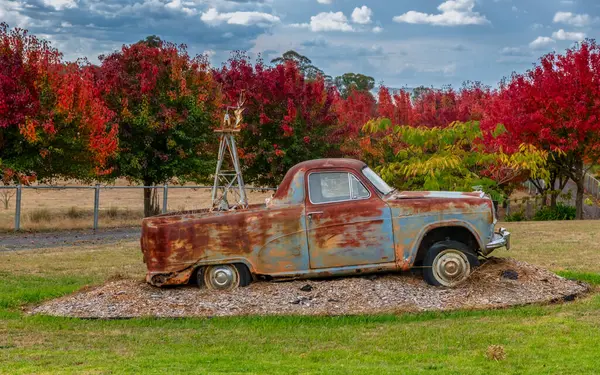 Avustralya, NSW 'nin orta batısındaki Blayney' nin varoşlarında, ağaçta sonbahar yaprakları sıralanmıştı..