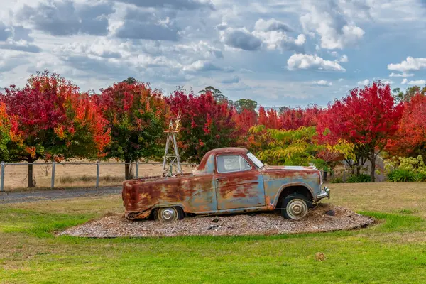 Avustralya, NSW 'nin orta batısındaki Blayney' nin varoşlarında, ağaçta sonbahar yaprakları sıralanmıştı..