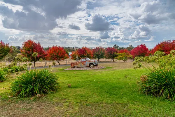 Avustralya, NSW 'nin orta batısındaki Blayney' nin varoşlarında, ağaçta sonbahar yaprakları sıralanmıştı..