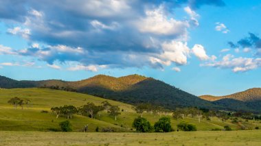 Monaro Bölgesi, NSW, Avustralya 'da bir yaz günü öğleden sonra saatlerinde resimli kırsal manzara yıkandı.