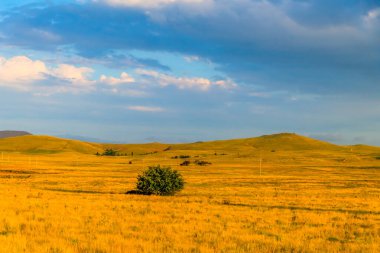 Monaro Bölgesi, NSW, Avustralya 'da bir yaz günü öğleden sonra saatlerinde resimli kırsal manzara yıkandı.