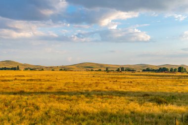 Monaro Bölgesi, NSW, Avustralya 'da bir yaz günü öğleden sonra saatlerinde resimli kırsal manzara yıkandı.