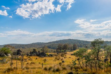 Monaro Bölgesi, NSW, Avustralya 'da bir yaz günü öğleden sonra saatlerinde resimli kırsal manzara yıkandı.