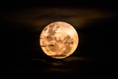 Haziran 'ın Dolunayı, Strawberry Moon Blayney, NSW, Avustralya' dan bulutlarla dolu..