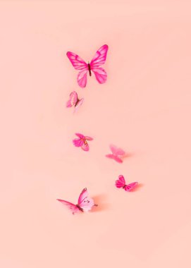 Pembe kelebekler pastel pembe arka planda uçuyor. Kopya alanı olan romantik yay duvar kâğıdı.