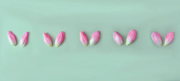 Pink Tulip Petals Aligned Green Background Minimal Creative Concept Easter — Stock Photo, Image