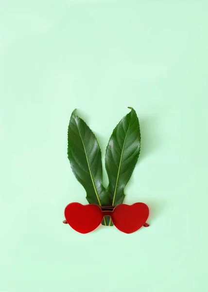 Κόκκινα Γυαλιά Ηλίου Σχήμα Καρδιάς Και Πράσινα Φύλλα Αυτιά Παστέλ — Φωτογραφία Αρχείου