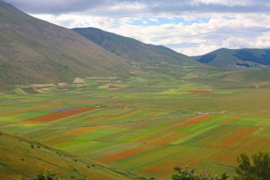 L'altipiano di Castelluccio di Norcia nel parco nazionale dei Monti Sibillini, Umbria, Italia, in una nuvolosa giornata estiva