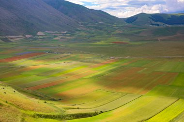 L'altipiano di Castelluccio di Norcia nel parco nazionale dei Monti Sibillini, Umbria, Italia, in una nuvolosa giornata estiva