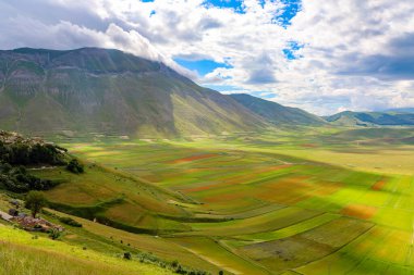 L'altipiano di Castelluccio di Norcia nel parco nazionale dei Monti Sibillini, Umbria, Italia, in una nuvolosa giornata estiva