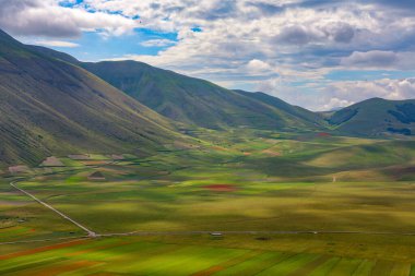 Ben campi di lenticchie, le colline e l 'altipiano di Castelluccio di Norcia, parco nazionale dei Monti Sibillini, Umbria, Italia, durante una nuvolosa giornata estiva, Italia
