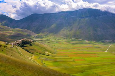 Ben campi di lenticchie, le colline e l 'altipiano di Castelluccio di Norcia, parco nazionale dei Monti Sibillini, Umbria, Italia, durante una nuvolosa giornata estiva, Italia